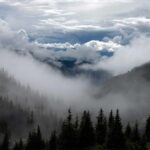 resized_16_fallback