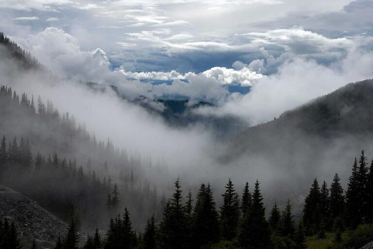 resized_16_fallback